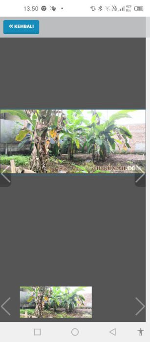 Disewakan sebidang tanah untuk perdagangan NEGO