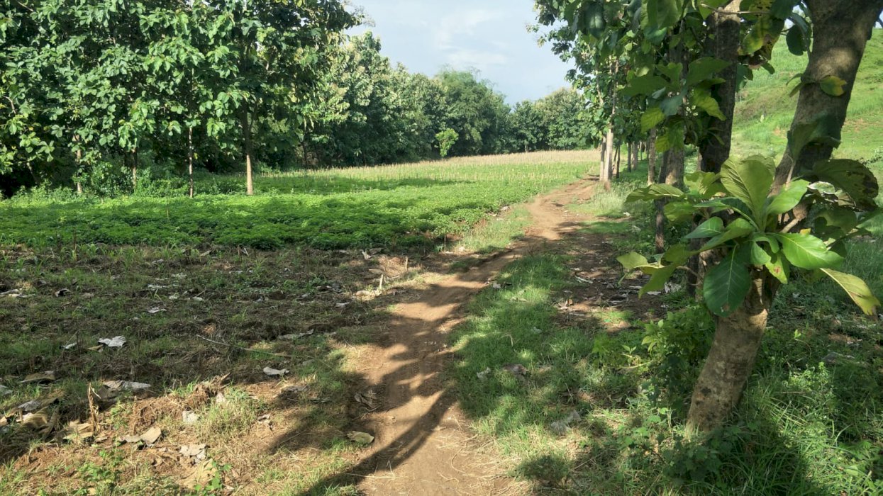 Jual Tanah Murah Lokasi Strategis diKediri, Jawa Timur