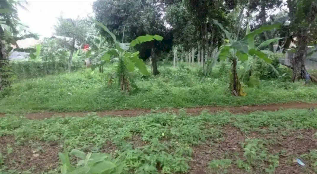 Tanah Luas Murah Pusat Kota Jonggol