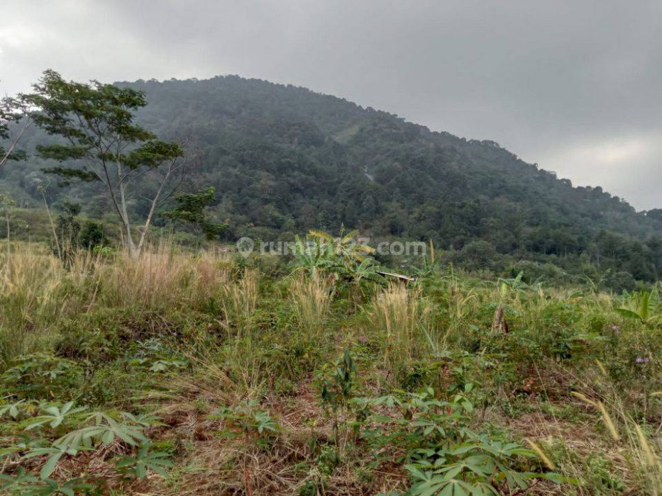 Di jual tanah di sentul city Bogor jawabarat