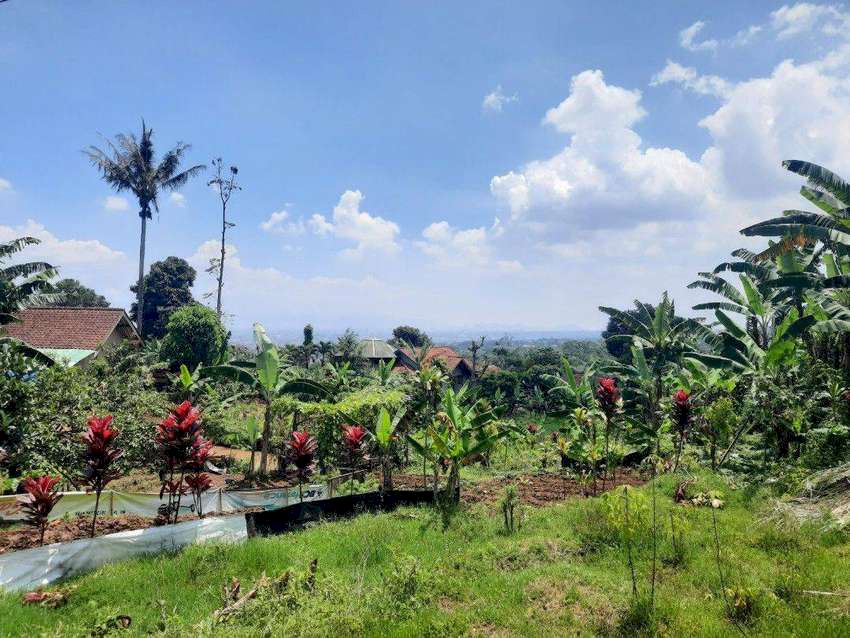 Tanah Murah Cijambe Cilengkrang Bandung