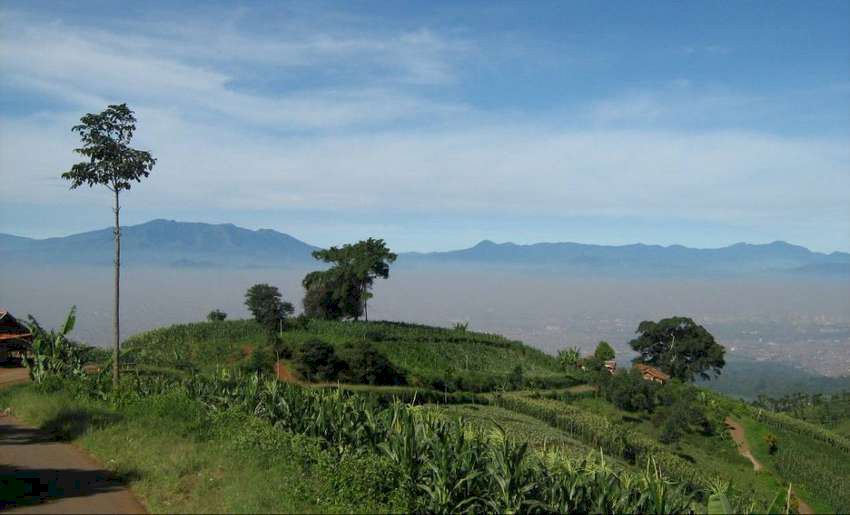 Tanah Kavling Padasuka Cicaheum