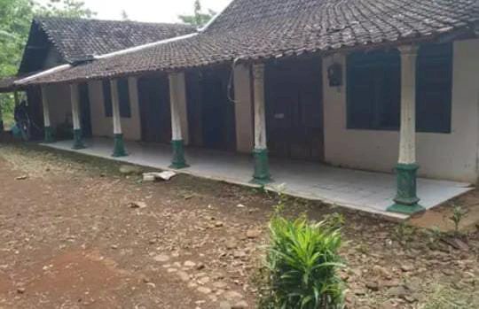 Dijual tanah pekarangan bonus rumah