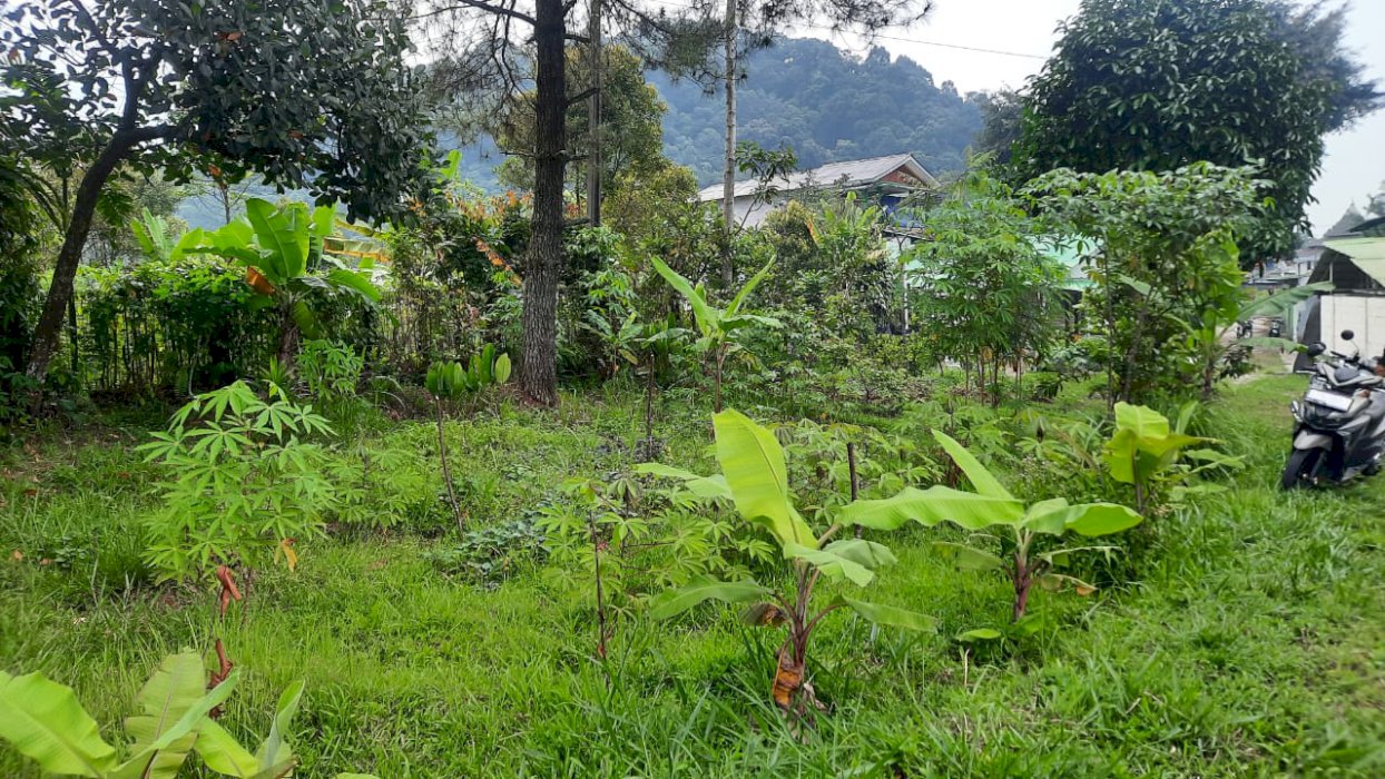 DI JUAL TANAH DI KAWASAN WISATA GUNUNG SALAK ENDAH, BOGOR