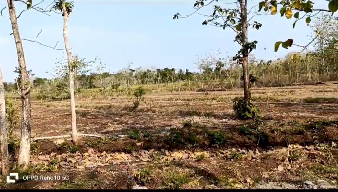 DI JUAL TANAH MURAH  LOKASI STRATEGIS DI GUNUNG KIDUL