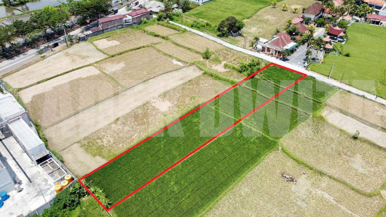 dijual tanah murah view sawah dan laut pantai keramas
