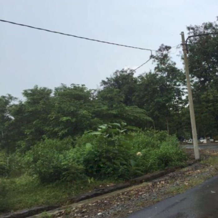 Tanah komersial diciparungsari Purwakarta Jawa Barat