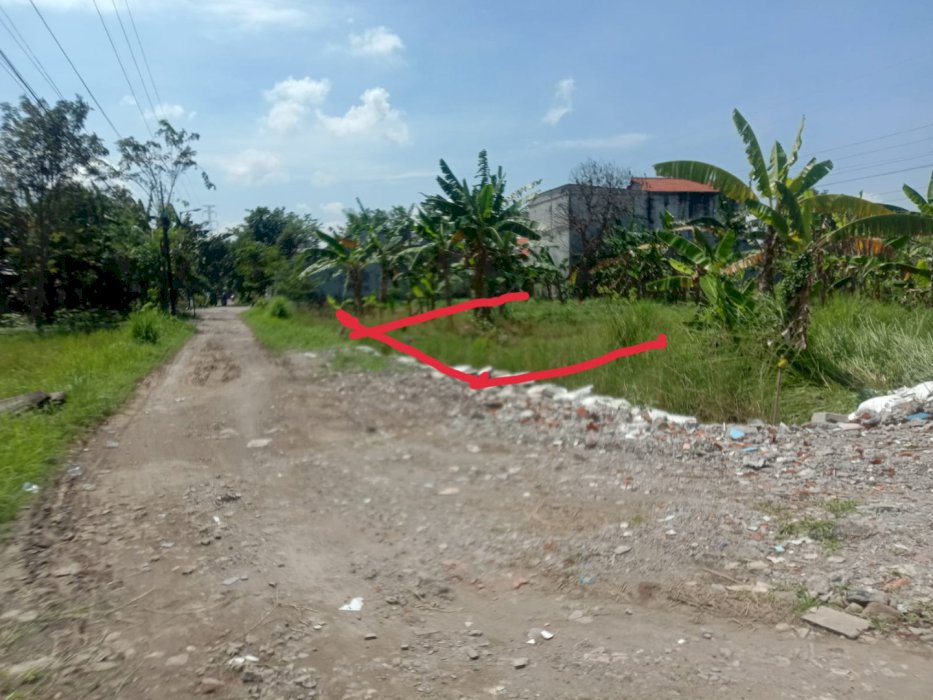 Jual tanah di Bangah Sidoarjo
