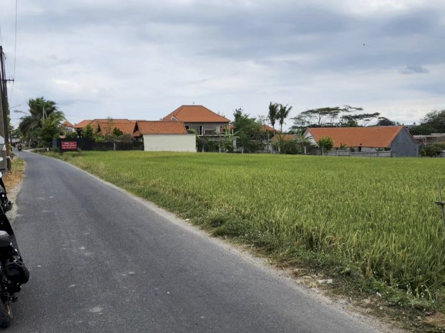 JUAL TANAH KOMERSIL JALAN UTAMA PANTAI CEMAGI BALI
