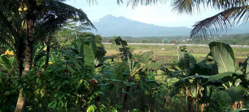 TANAH DEKAT TOL di PABELAN, SEMARANG
