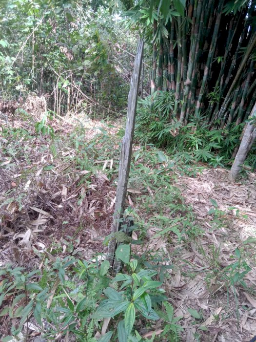 DiJual Tanah Murah di Kariangau Balikpapan Barat sekitar IKN