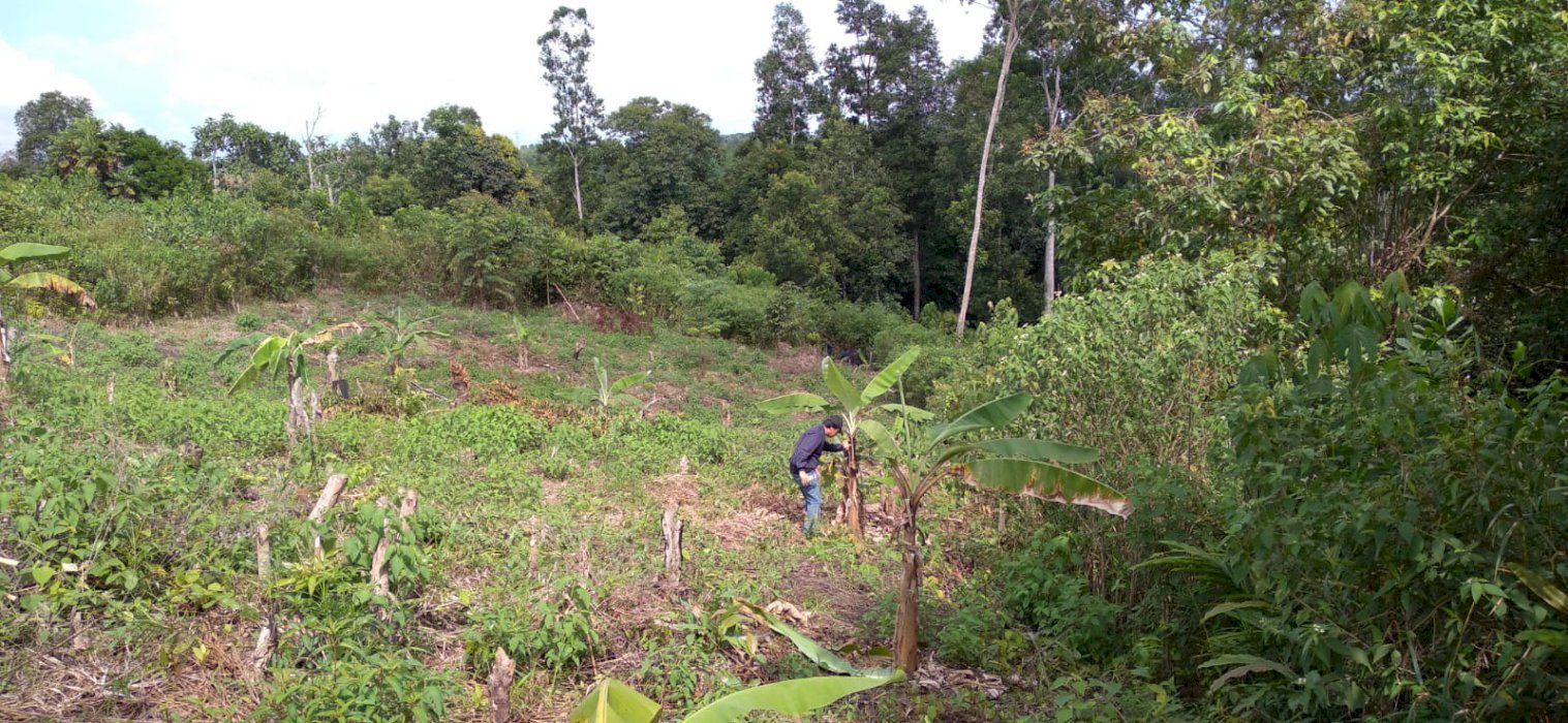 Dijual Tanah di Kariangau Balikpapan Barat sekitar IKN