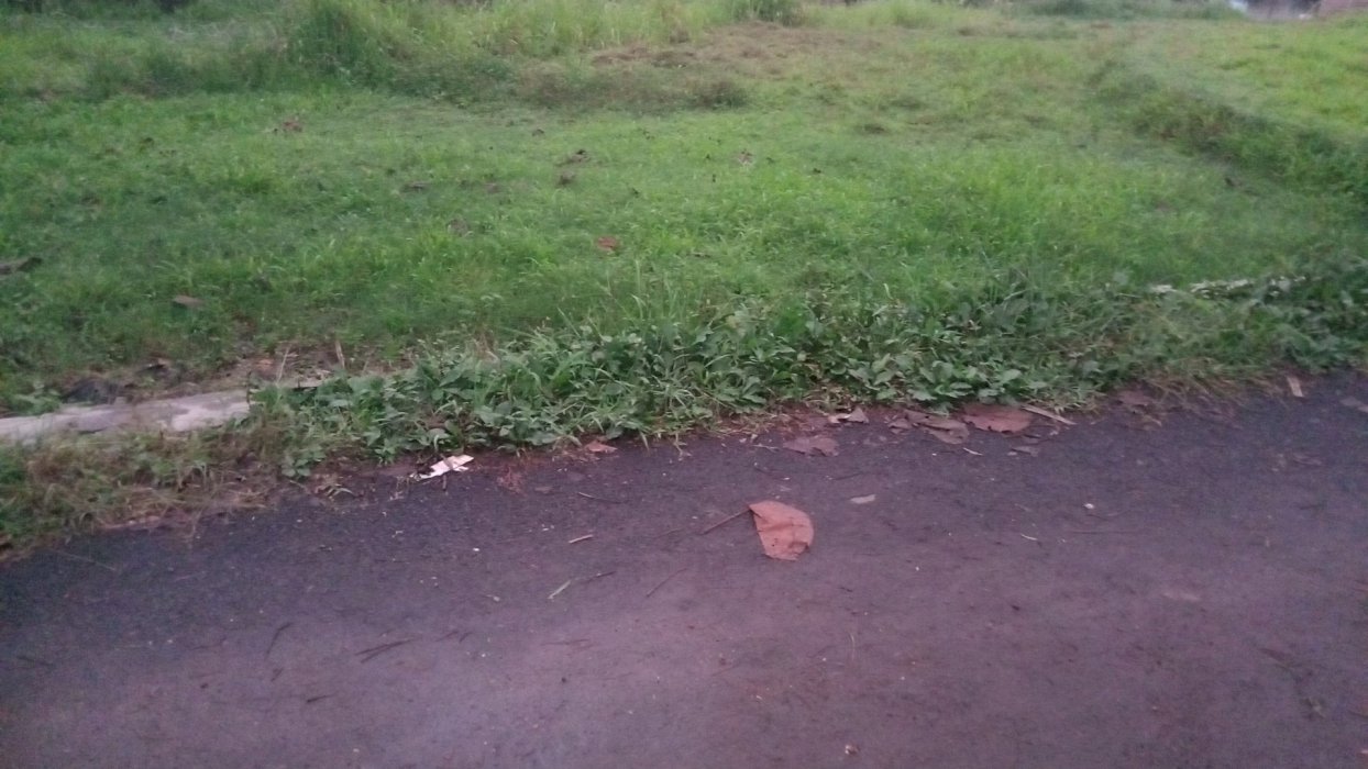 jual sawah  dan kebun pinggir jln desa