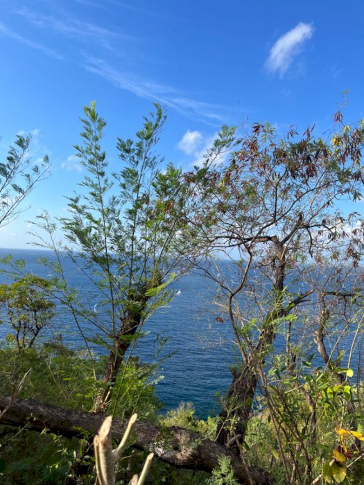 Land For Sale Seraya Amed Area