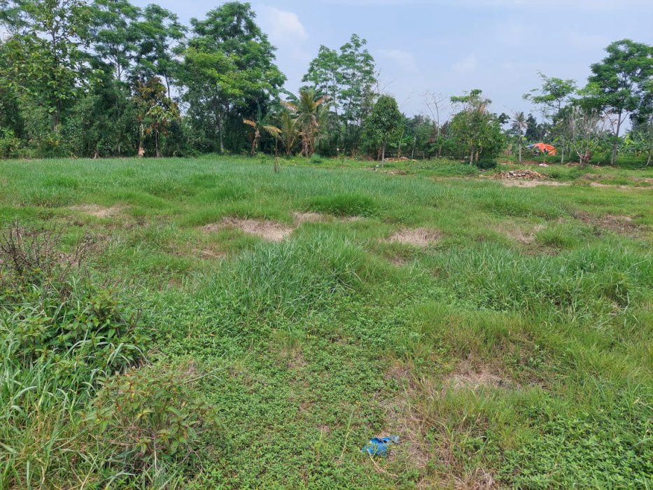 DIJUAL TANAH MURAH LOKASI STRATEGIS CISEENG BOGOR