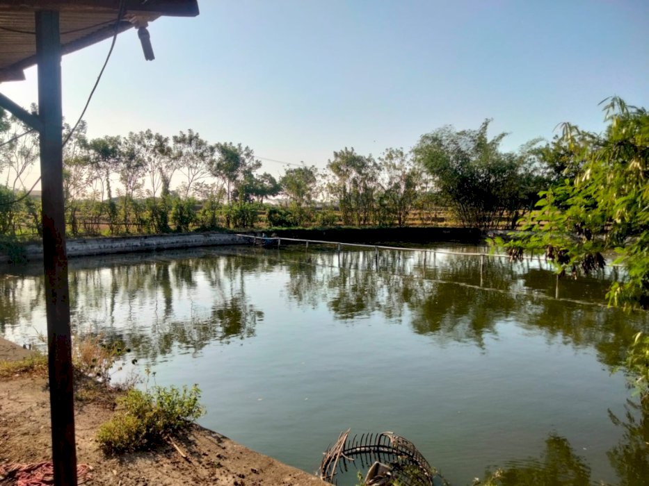 Dijual cepat murah tanpa perantara tanah&pemancingan Cibatu Purwakarta