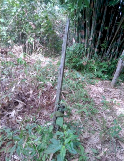 Jual Tanah Murah di Kariangau Balikpapan Barat sekitar IKN