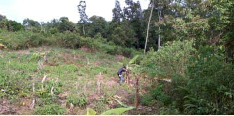 Jual Tanah Kariangau Balikpapan di sekitar IKN