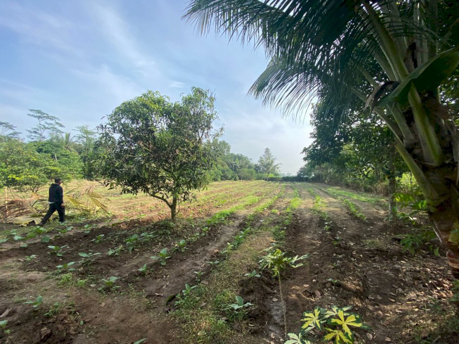 Dijual tanah di Walantaka Serang