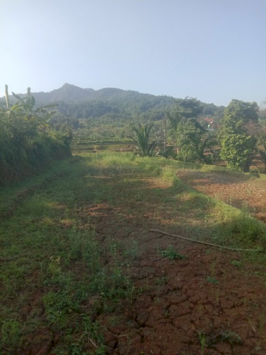 Di Jual Tanah kebun udah ada vila dan listrik plus air sudah ada
