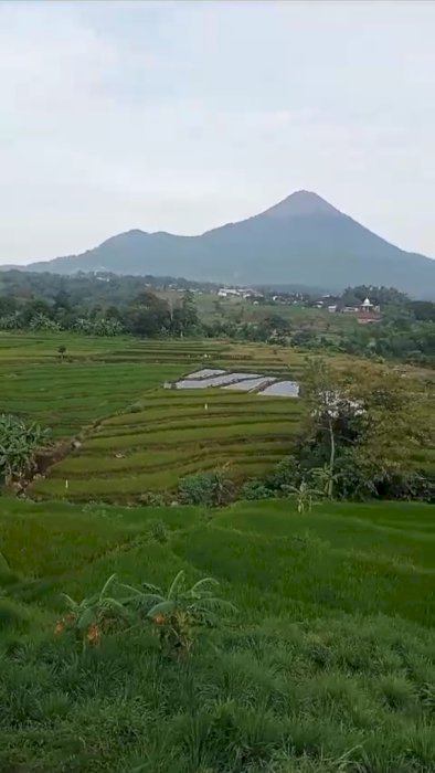 Di Jual Tanah Lokasi Strategis Di Pasuruan