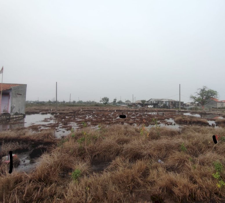 Di Jual Tanah Murah Nego Sampai Deal Daerah Medayu