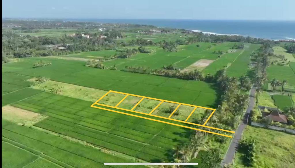 Tanah murah Pantai kedungu deket Ciputra Resort deket pantai ms3 bali