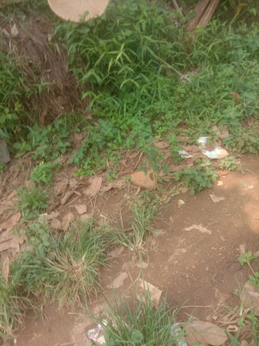 Jual tanah lewiliang bogor barat