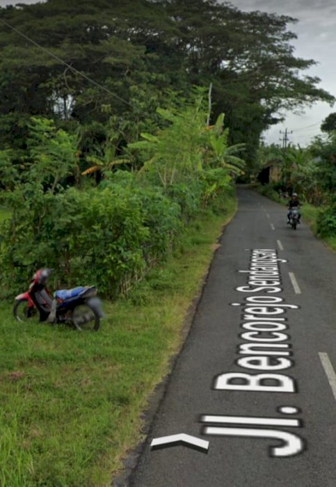 Dijual Sawah Murah Bencorejo Banyuurip Purwokerto Jawa Tengah