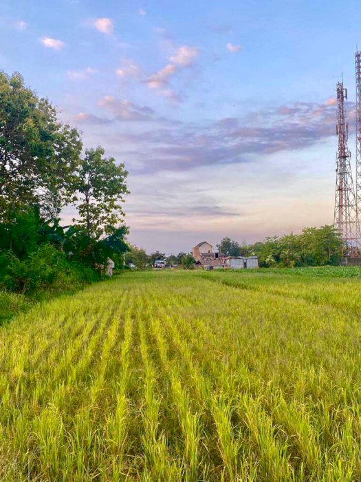 JUAL TANAH MURAH LOKASI SANGAT STRATEGIS DI SOLO