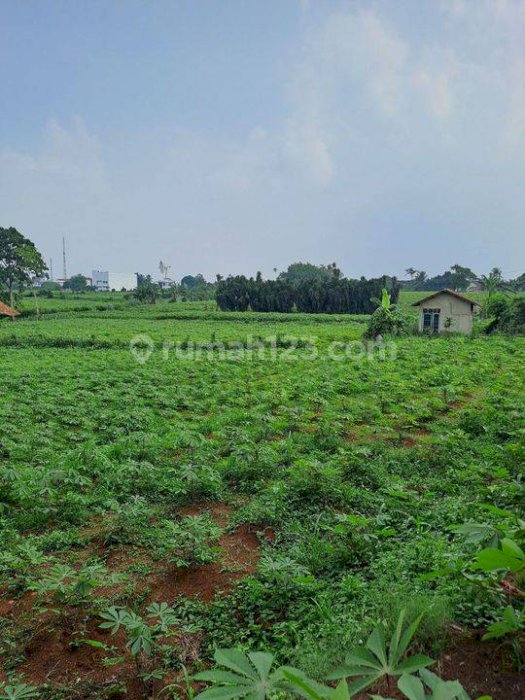 Di jual tanah Ranca bungur Bogor jawabarat