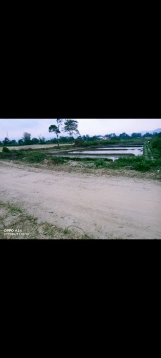 gallery cover