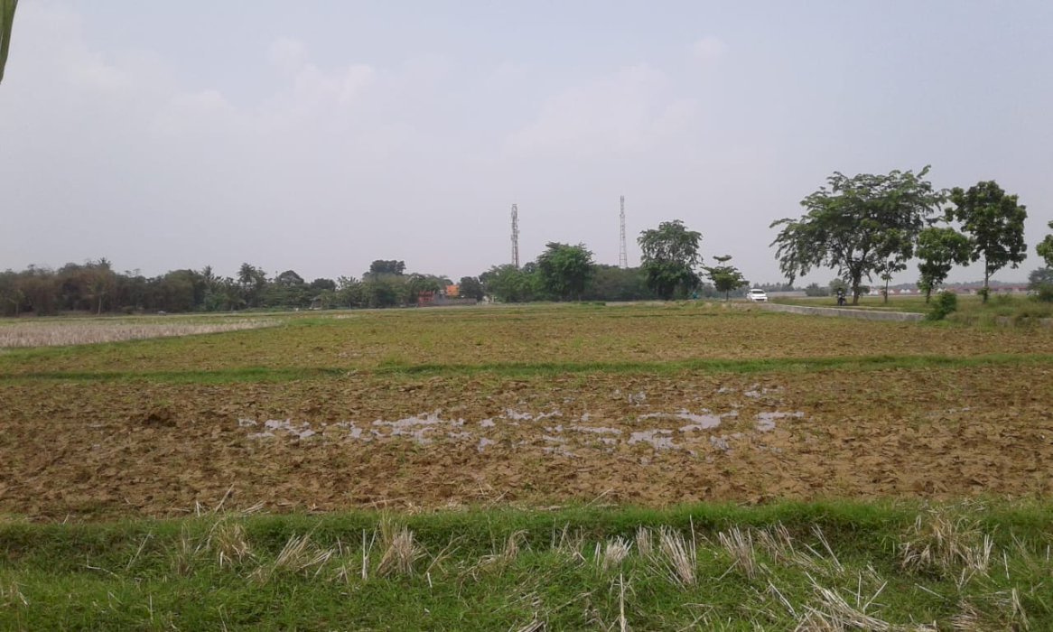 DI JUAL TANAH LUAS COCOK DI JADIKAN UNTUK RUANG USAHA DI KARAWANG