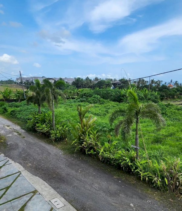 DI JUAL TANAH MURAH PANTAI CEMAGI BALI