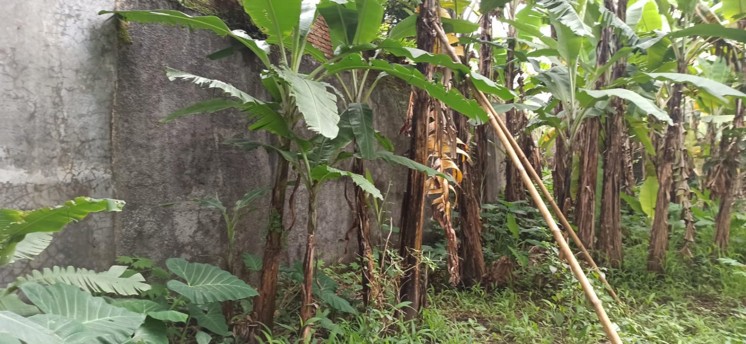 jual tanah sariendah bandung