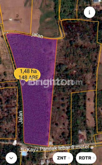 TANAH COCOK BUAT KAVLING DI BALI