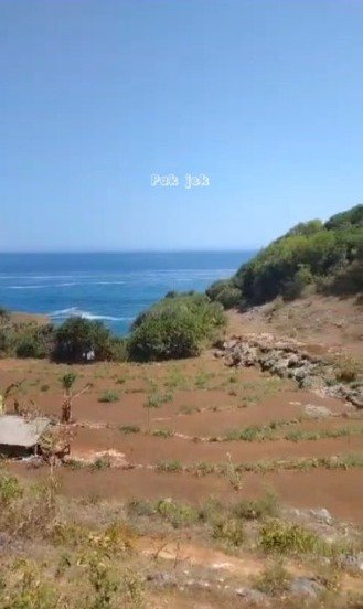 Tanah Pinggir pantai Ngungap di Gunung Kidul