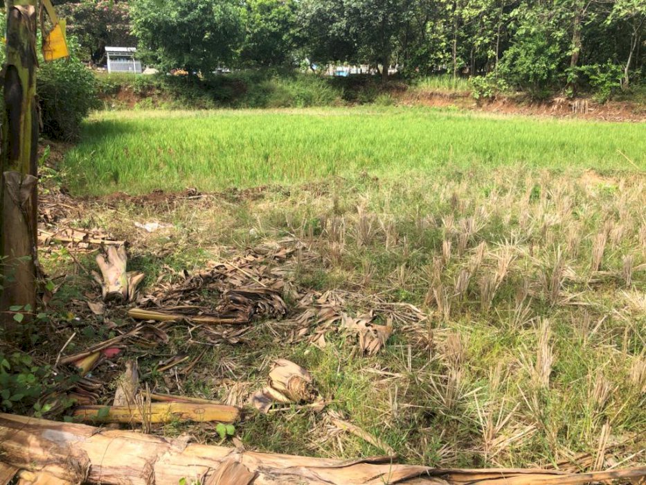 Dijual tanah hanya 15 menit dari bandara kertajati (daerah aerocity)