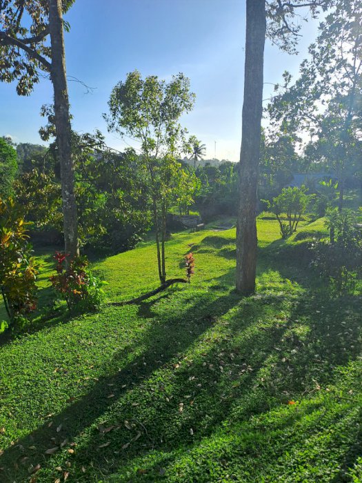 Di jual tnah berikut vila desa cipayung  megamendung  bogor jabar