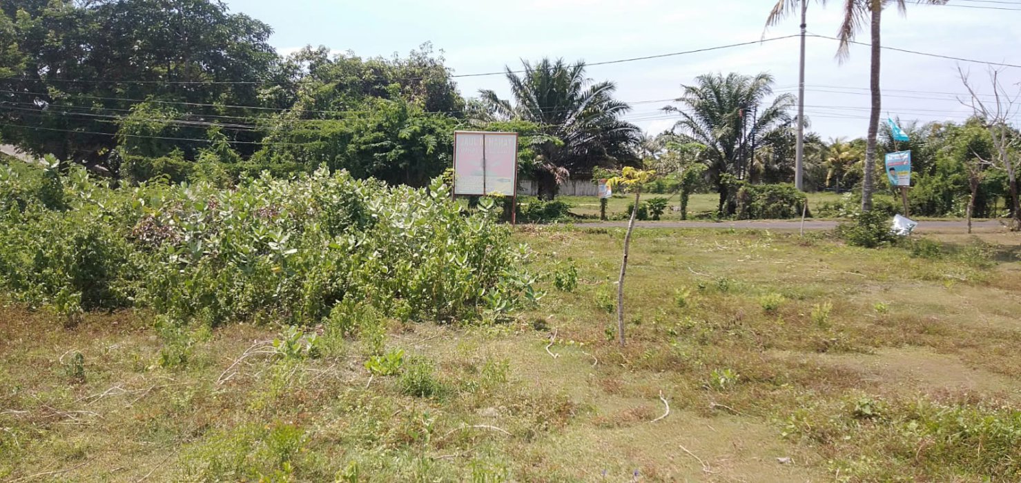 DIJUAL TANAH LOKASI STRATEGIS JEMBRANA BALI