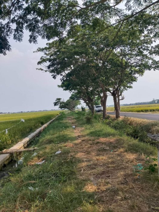 TANAH DEKAT PONPES DARUL HIDAYAH SUKOHARJO