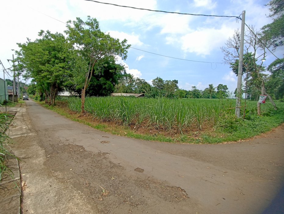 Dijual Tanah di Pakis Malang cocok untuk Perumahan SHM