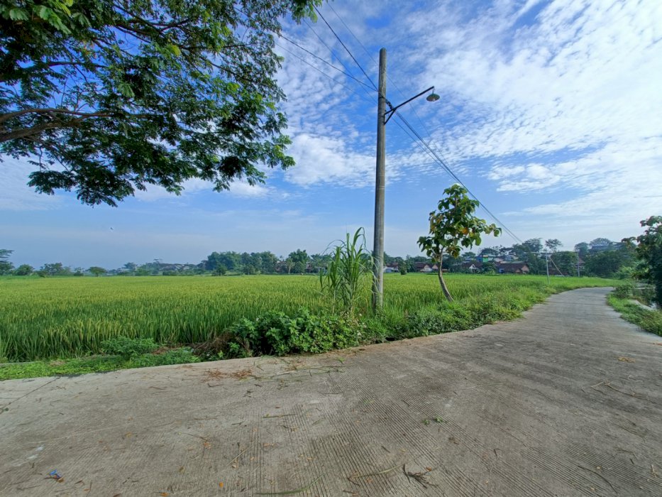 TANAH DI PACET DEKAT KAMPUS ABDUL CHALIM