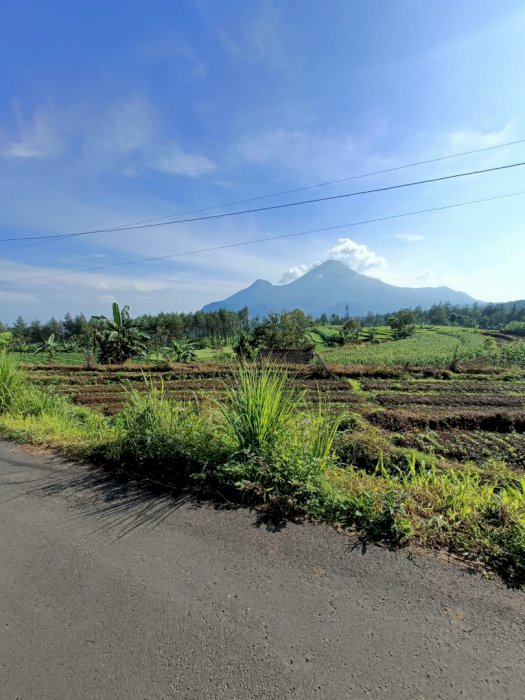 TANAH NDESO PACET PINGGIR KAMPUNG VIEW OKE