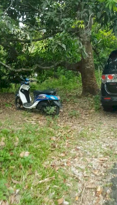 TANAH STATEGIS DI AREA CURUGSODONG KOMPLEK GEOPARK CILETUH