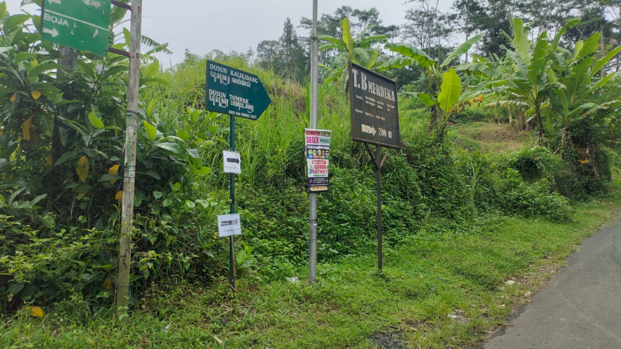 DI JUAL SAWAH MURAH STRATEGIS DI KENDAL JAWA TENGAH