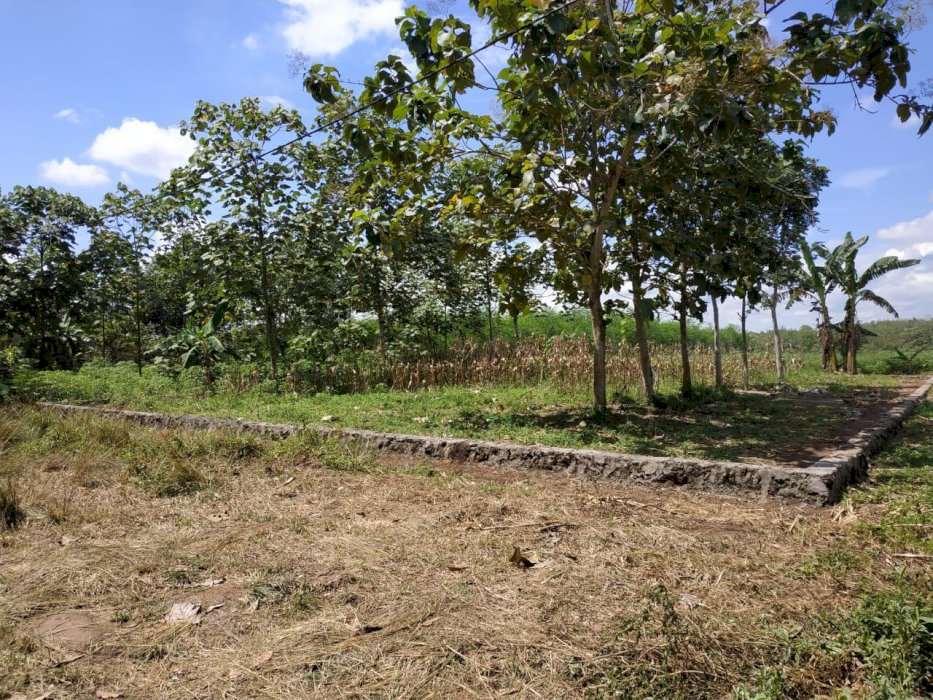 DIJUAL 2 BIDANG TANAH MURAH LOKASI SIDODADI ASRI LAMPUNG