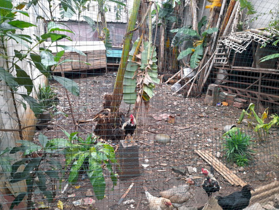 Lokasi Aman, Tanah Aman, Tanah lokasi Strategis, Tanah Milik Pribadi.