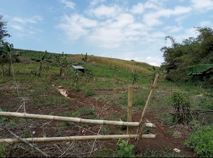 DIJUAL Tanah Di Sindangresmi, Jampang Tengah, Sukabumi