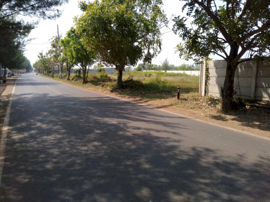 Tanah Pinggir jalan, Zona Kuning, Pantai Sigandu Kab. Batang